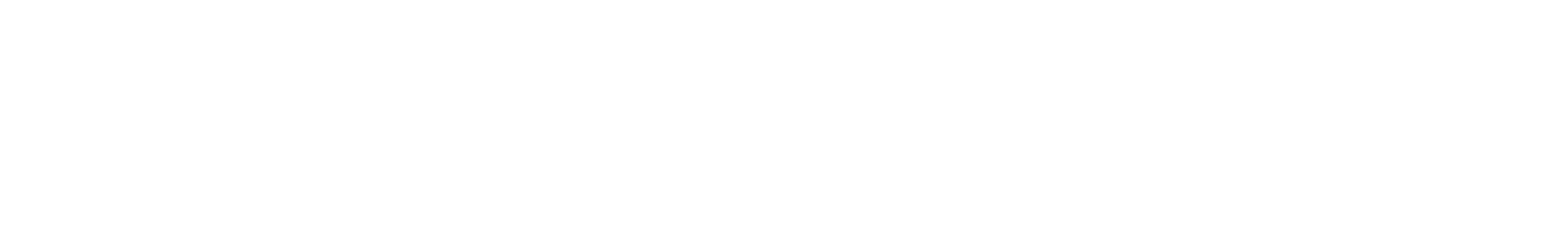 Boomerang-Logo-White